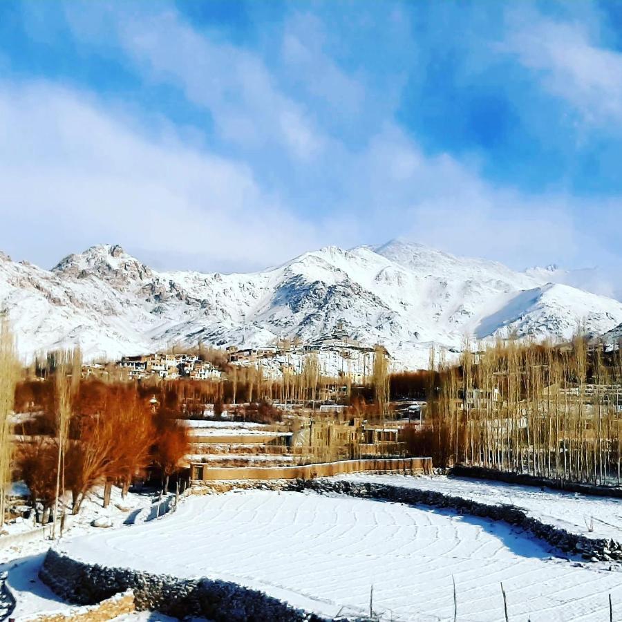 Ladakh Country Inn Leh Exterior foto